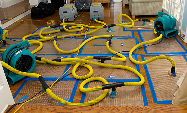 Professional Crawl Space Water Removal technician working in Wishon, CA